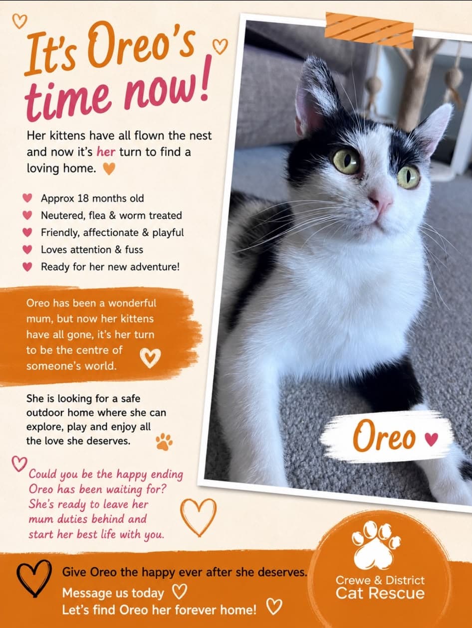 Oreo