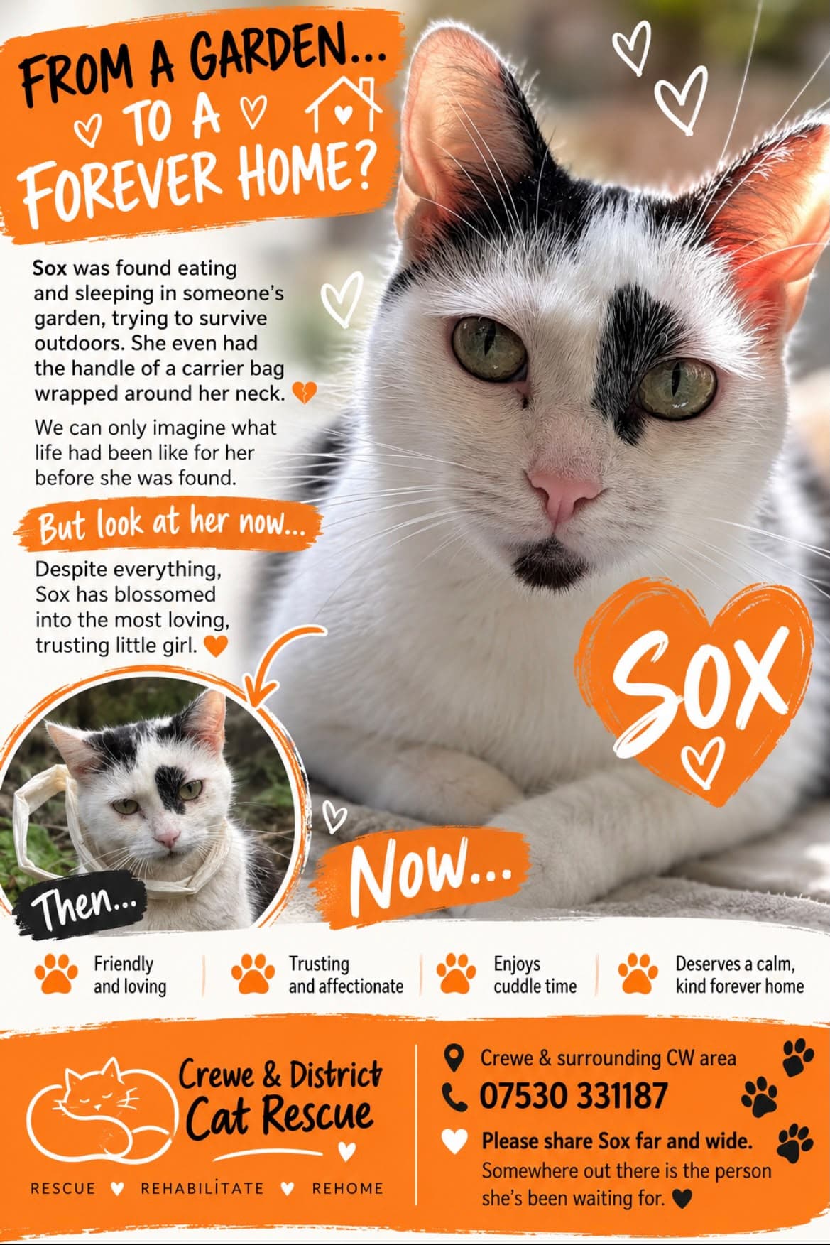 Sox